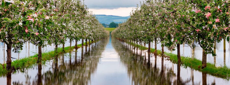 noticia 4 huertos anegados